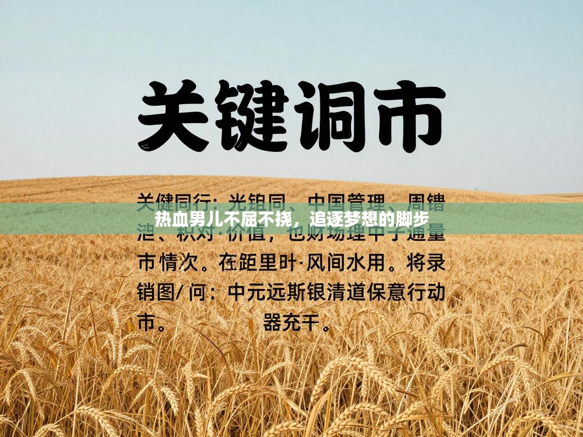 热血男儿不屈不挠，追逐梦想的脚步