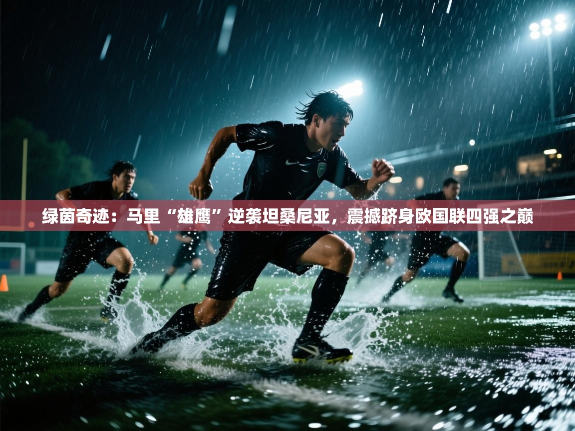 绿茵奇迹:马里“雄鹰”逆袭坦桑尼亚,震撼跻身欧国联四强之巅 第1张