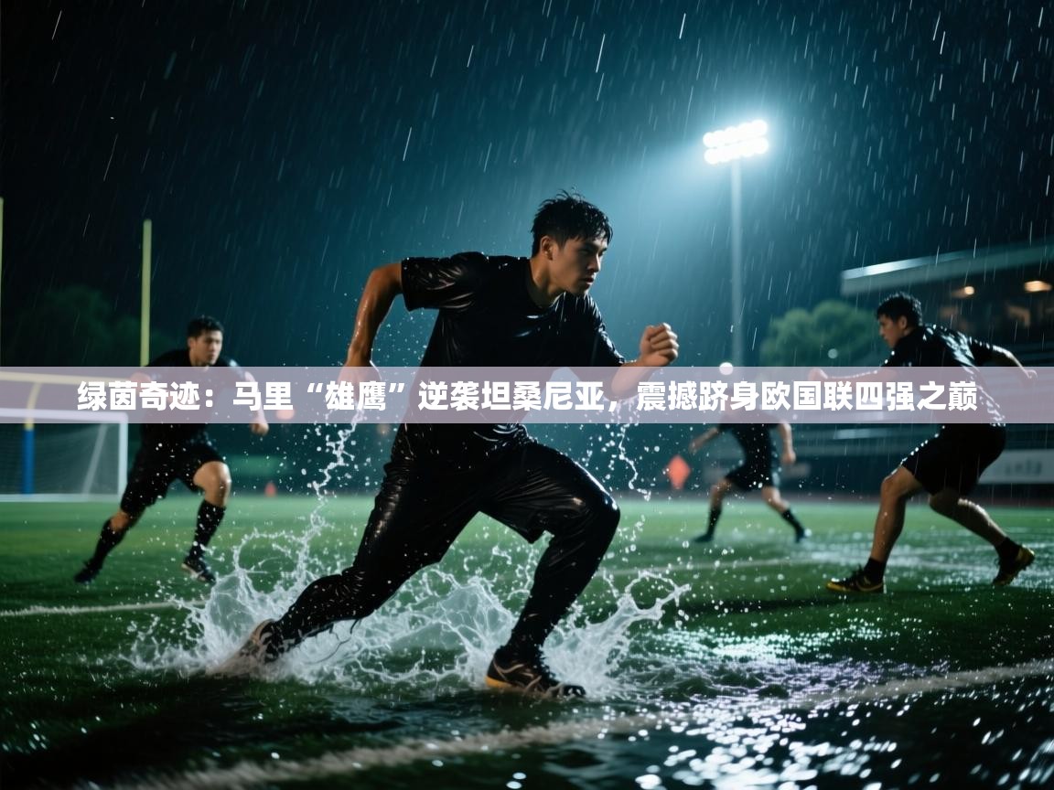 绿茵奇迹:马里“雄鹰”逆袭坦桑尼亚,震撼跻身欧国联四强之巅 第2张