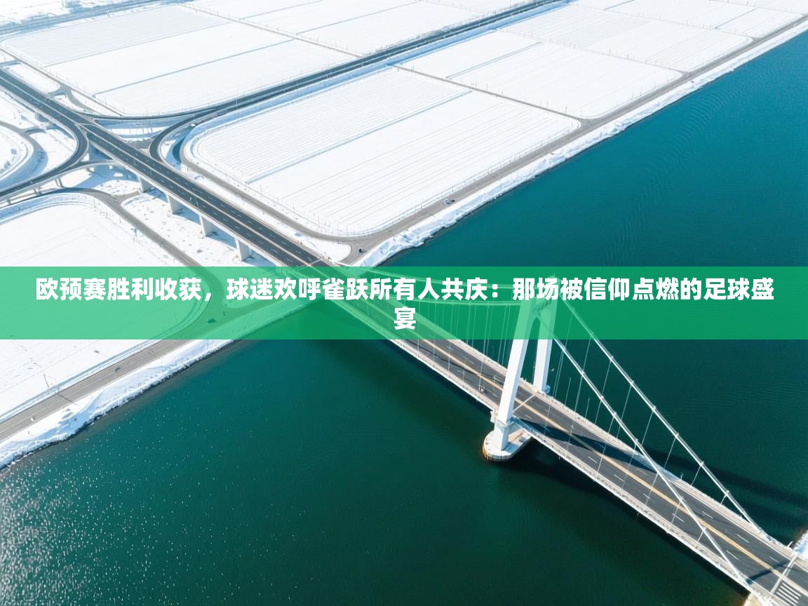 欧预赛胜利收获,球迷欢呼雀跃所有人共庆:那场被信仰点燃的足球盛宴