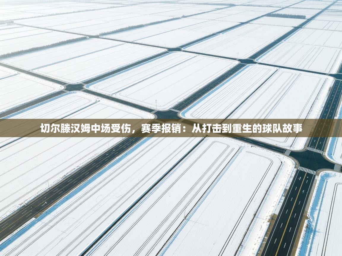 切尔滕汉姆中场受伤，赛季报销：从打击到重生的球队故事  第1张