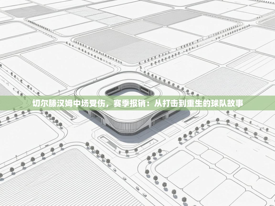 切尔滕汉姆中场受伤，赛季报销：从打击到重生的球队故事  第2张