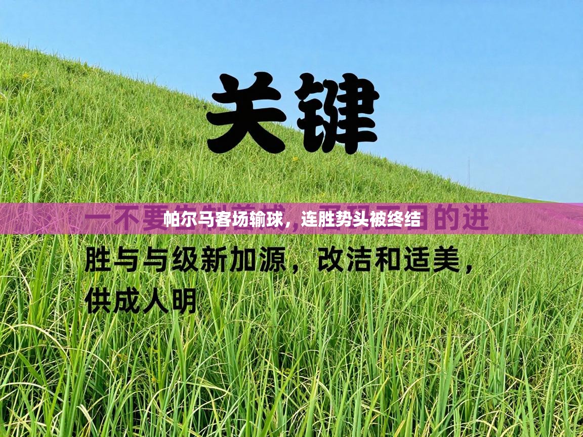 帕尔马客场输球，连胜势头被终结  第2张