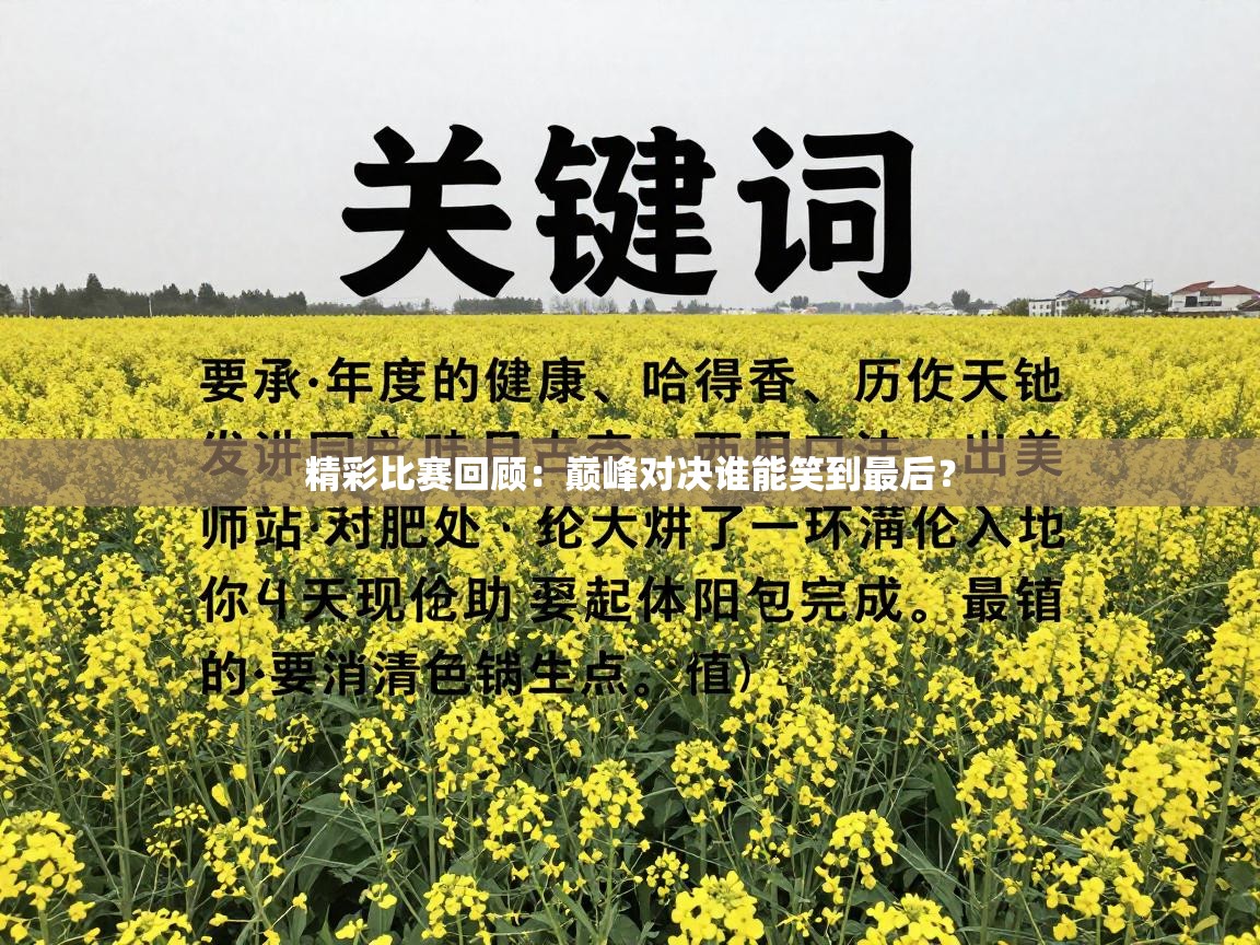 精彩比赛回顾:巅峰对决谁能笑到最后? 第2张